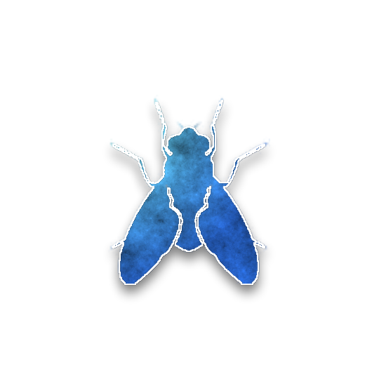 Mosca